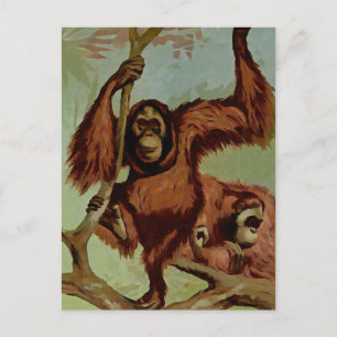 Vintage orangutans on a tree postcard