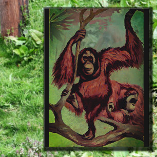 Vintage orangutans on a tree postcard