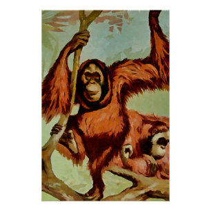 Vintage orangutans on a tree -  poster