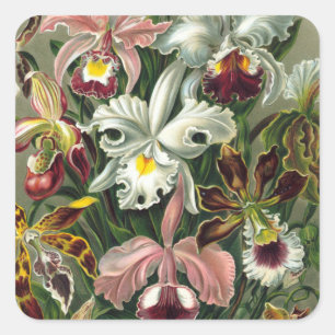 Vintage Orchid Stickers