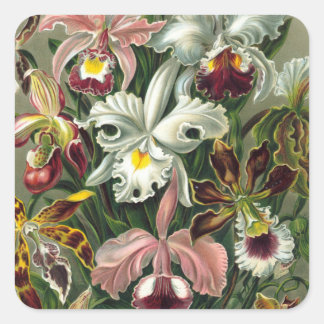 Vintage Orchid Stickers