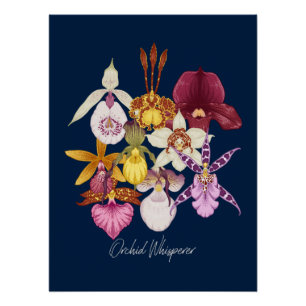 Vintage Orchid Whisperer Poster