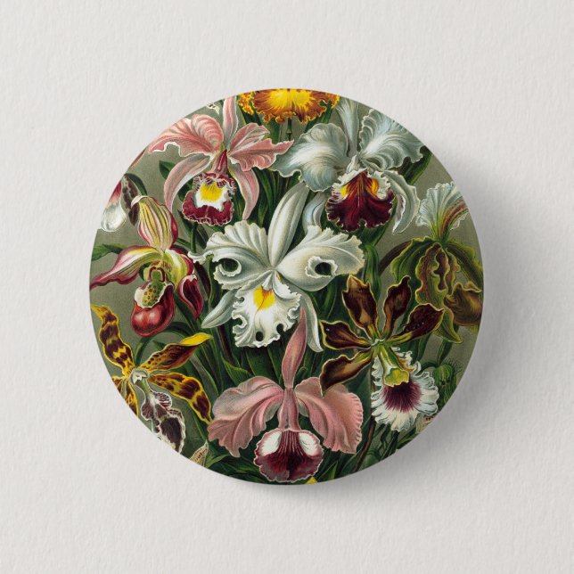 Vintage Orchids 2 Inch Round Button (Front)