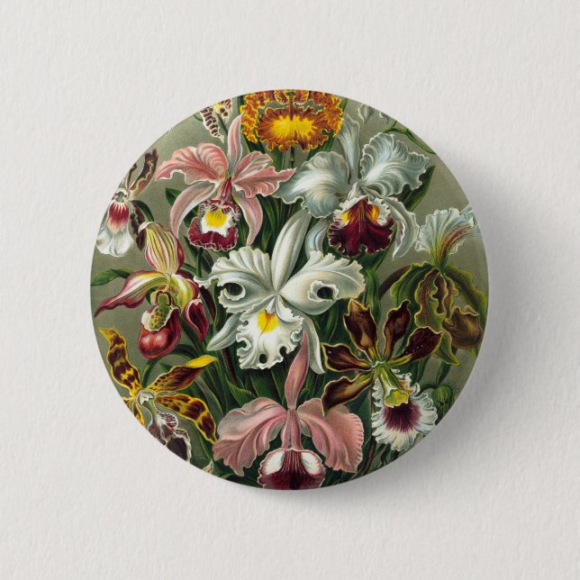 Vintage Orchids Illustration 2 Inch Round Button (Front)