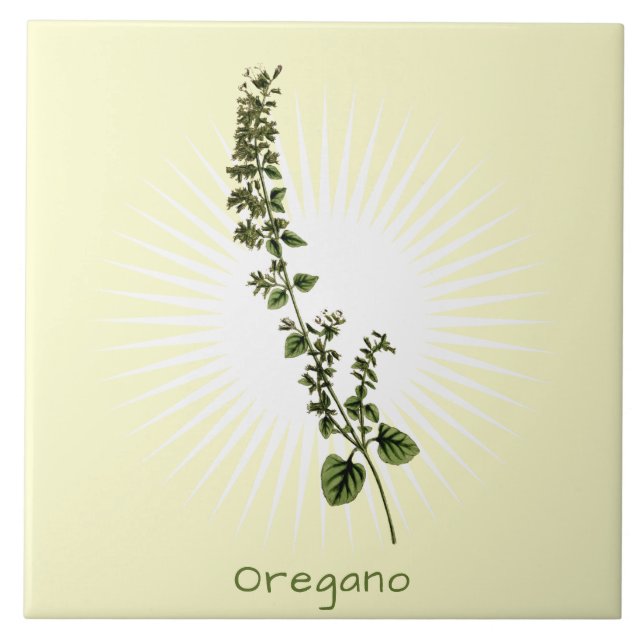 Vintage Oregano Herb Botanical Art Ceramic Tile (Front)