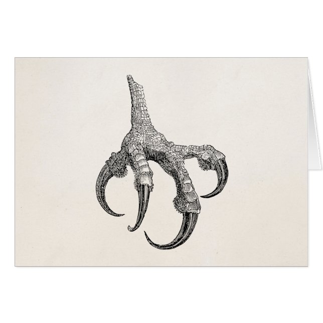 Vintage Osprey Claw Personalized Retro Bird Claws (Front Horizontal)