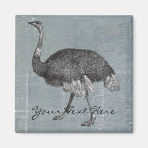 Vintage Ostrich Magnet
