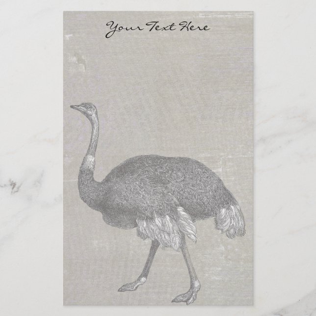 Vintage Ostrich Stationery (Front)