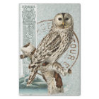 Vintage Owl Bird Teal Decoupage French Postmark 