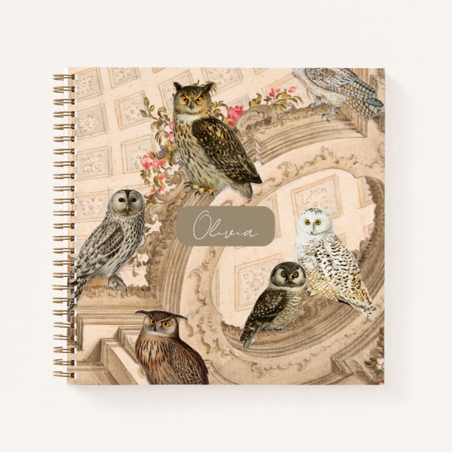 Vintage Owl Collage with Floral Architecture Notebook (Front)