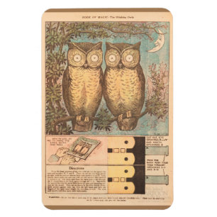 Vintage owl cute fall craft children's blue brown magnet