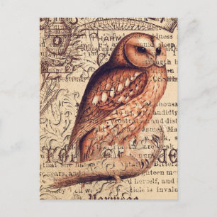 Vintage owl Ephemera Decoupage Postcard