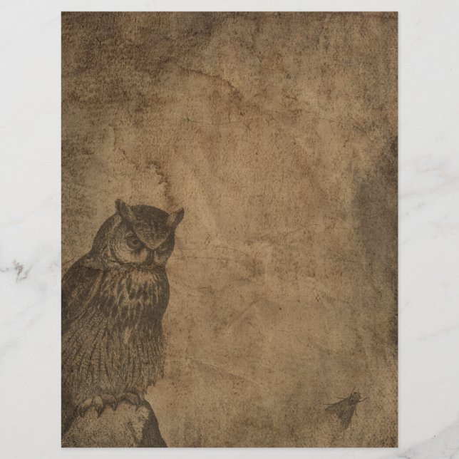 Vintage Owl & Fly Gothic Halloween Scrapbook Paper (Front)