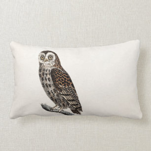 Vintage Owl Illustration - 1800's Birds Templates Lumbar Pillow