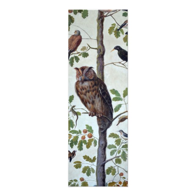 Vintage Owl Photo Print (Front)
