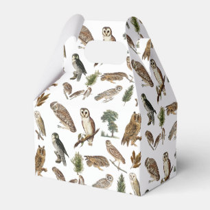 Vintage Owl Watercolor Forest Pattern Favor Box