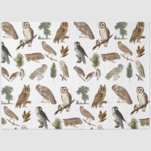 Vintage Owl Watercolor Forest Pattern   Tissue Paper