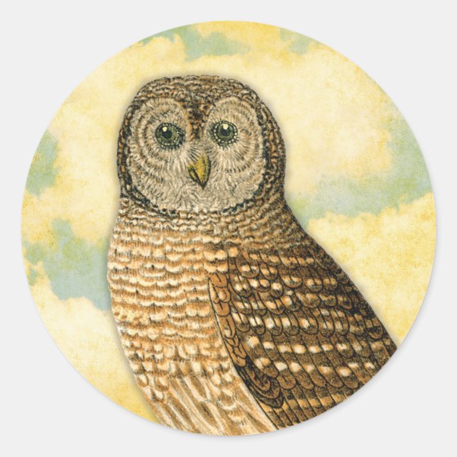 Vintage Owl with Clouds Classic Round Sticker (Front)
