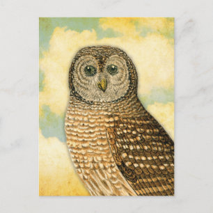 Vintage Owl with Clouds Postcard