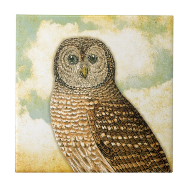 Vintage Owl with Clouds Tile (Front)