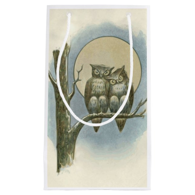 Vintage owls illustration small gift bag (Front)