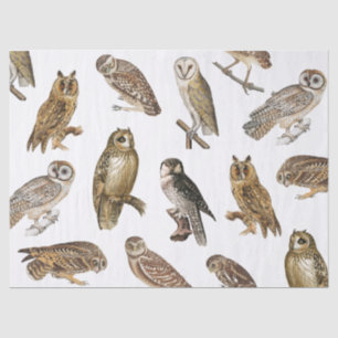 Vintage Owls Pattern Decoupage Tissue Paper