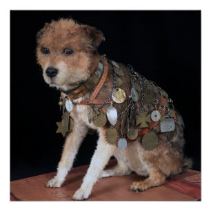 VINTAGE ~ OWNEY the dog New York ~ Poster