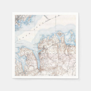 Vintage Oyster Bay Long Island New York Map Napkin
