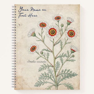 Vintage Painted Daisy Botanical Notebook