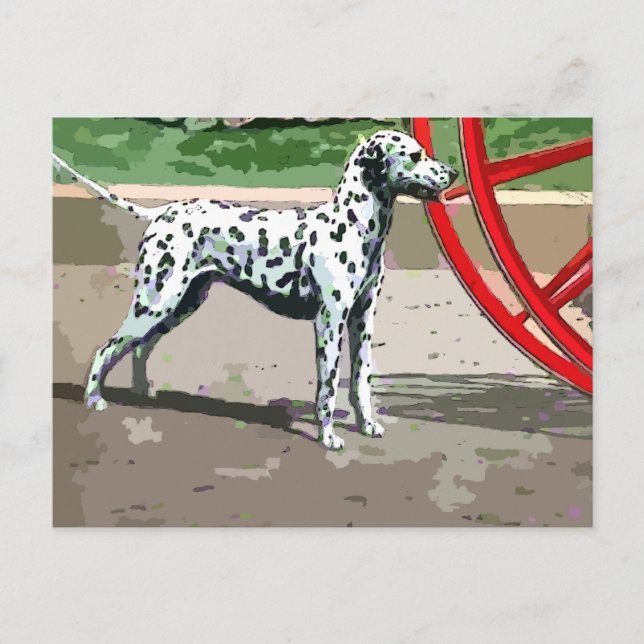 vintage painted dalmatian postcard (Front)