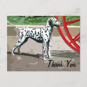 vintage painted dalmatian thank you postcard