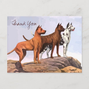 Vintage Painted Great Danes Thank You Postcard
