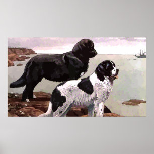 Vintage Painted Newfoundlands Poster
