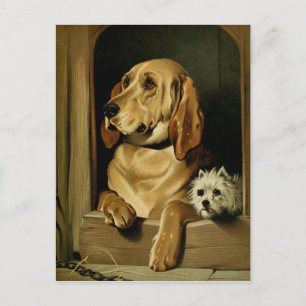 Vintage Painting: Dignity and Impudence Postcard