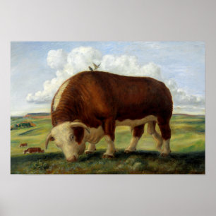 Vintage painting of a Hereford bull Poster