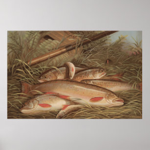 Vintage Fly Fishing Wall Art & Décor