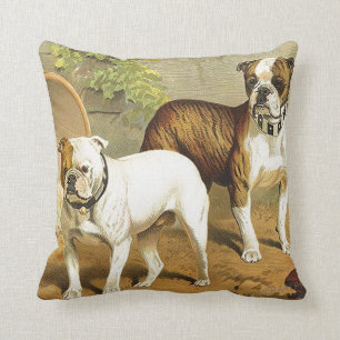 Vintage Painting of English Bulldogs Throw Pillow