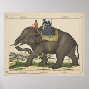 Vintage Painting of Men Riding an Elephant Poster