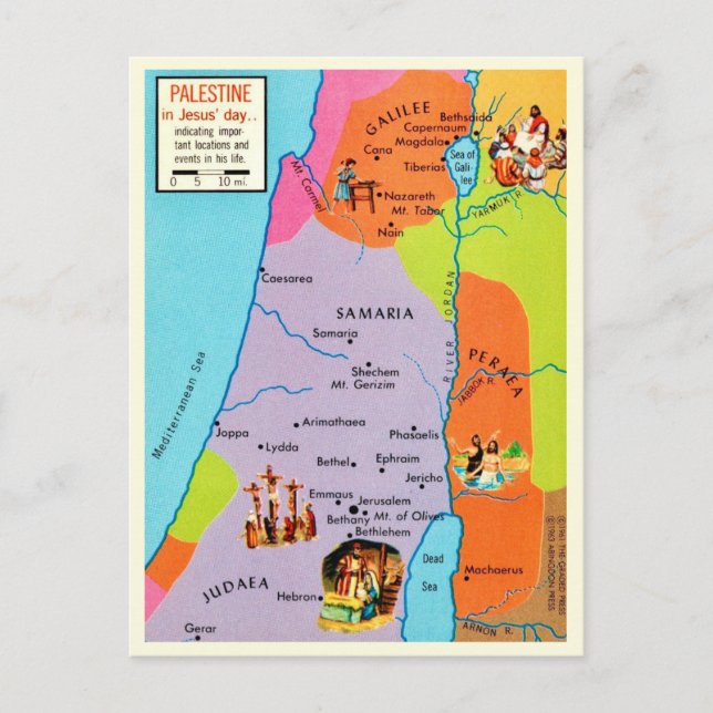 Vintage Palestine Postcard (Front)