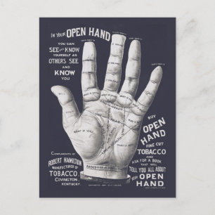 Vintage Palm Reading Illustration Diagram Postcard