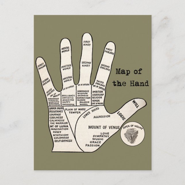 Vintage palm reading palmistry fortune postcard (Front)