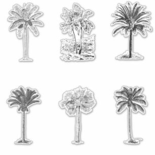 Vintage Palm Tree Sketches 