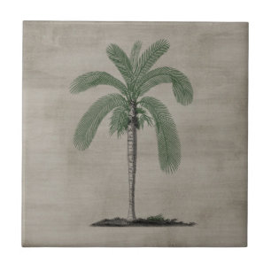 Vintage Palm Tree Tile