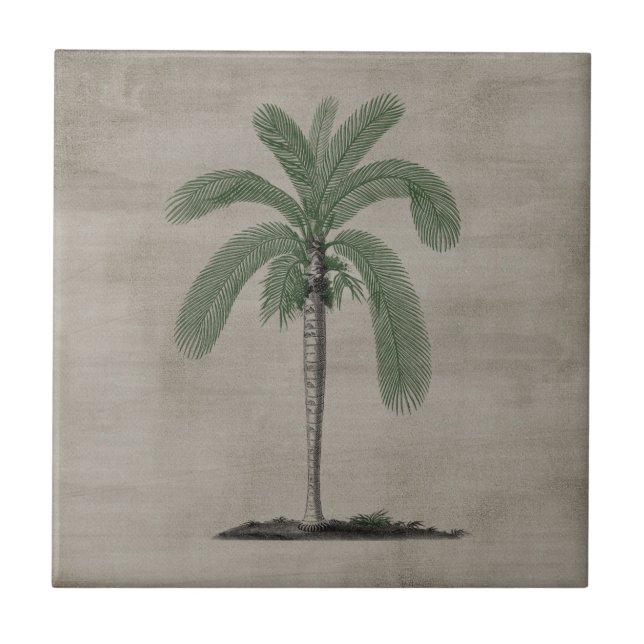 Vintage Palm Tree Tile (Front)