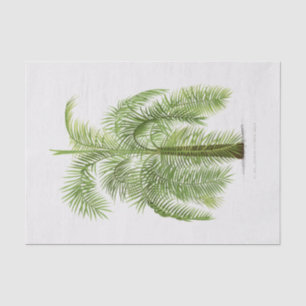 Vintage Palm Tree Tissue Paper
