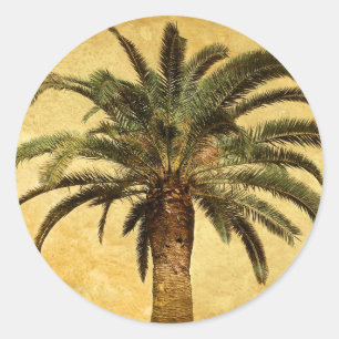 Vintage Palm Tree - Tropical Customized Template Classic Round Sticker