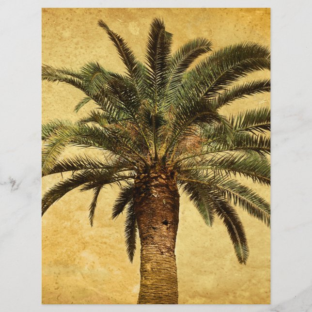 Vintage Palm Tree - Tropical Customized Template Flyer (Front)