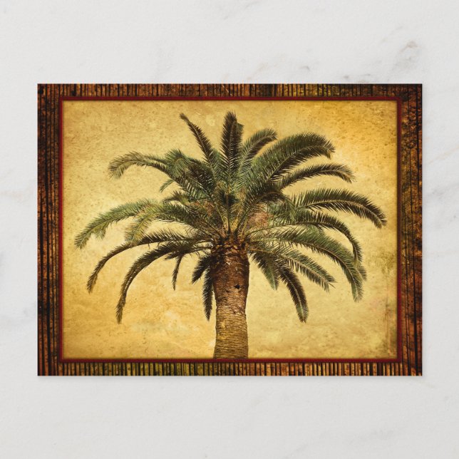 Vintage Palm Tree - Tropical Customized Template Postcard (Front)