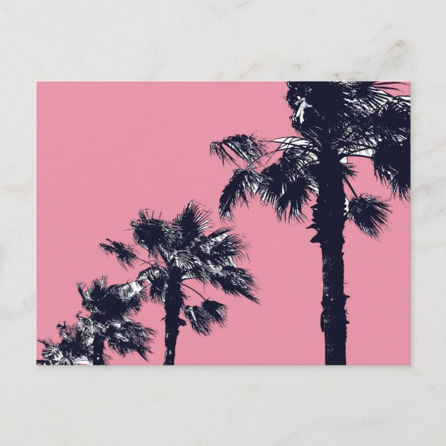 Vintage Palm Trees Postcard (Front)