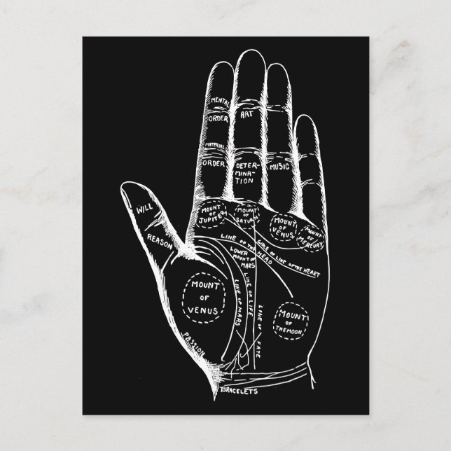 Vintage Palmistry Chart Palm Reading Postcard (Front)